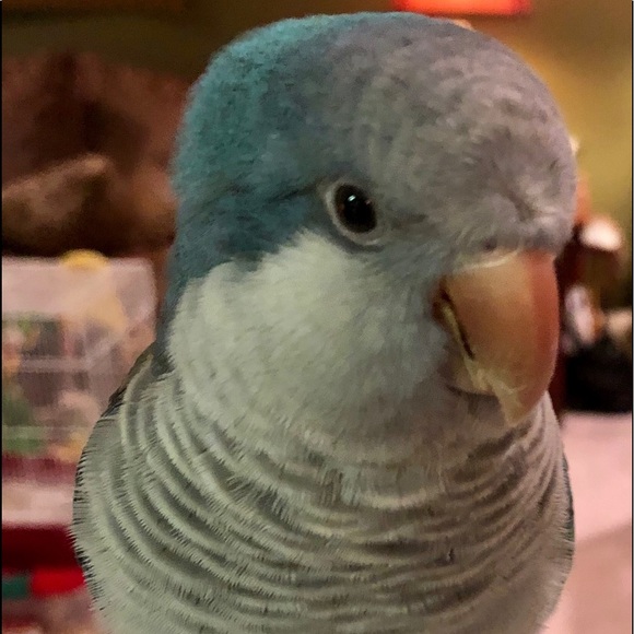 πNew Posh Ambassador as of 10/07/19π - Picture 3 of 8